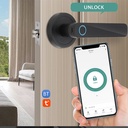 OWSOO Intelligent Door Lock,Lock Handle Set Office Set Support Key Door Lock Apartment Unlock Tuya App Lock Keyless Door Support Key Unlock App BT Handle Set Support smart locks door Lock WiFi Door